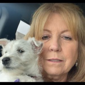 Meet your Posher, Dawn